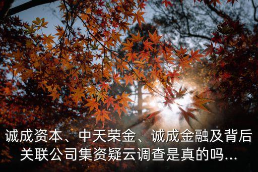 誠(chéng)成資本、中天榮金、誠(chéng)成金融及背后關(guān)聯(lián)公司集資疑云調(diào)查是真的嗎...