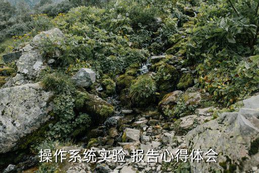 操作系統(tǒng)實(shí)驗(yàn) 報告心得體會