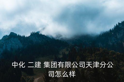  中化 二建 集團有限公司天津分公司怎么樣