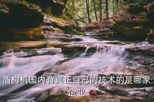 盾構(gòu)機(jī)國(guó)內(nèi)有真正自己的技術(shù)的是哪家企業(yè)
