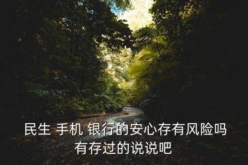  民生 手機 銀行的安心存有風險嗎有存過的說說吧