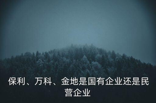  保利、萬科、金地是國有企業(yè)還是民營企業(yè)