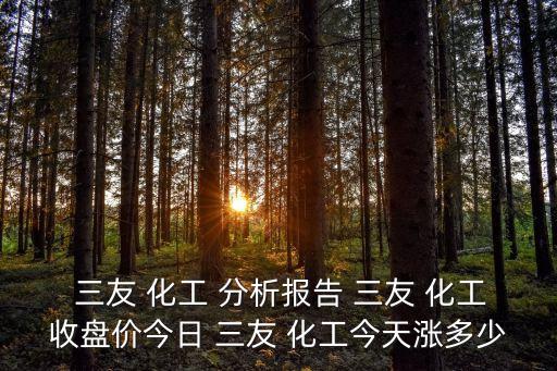  三友 化工 分析報(bào)告 三友 化工收盤(pán)價(jià)今日 三友 化工今天漲多少
