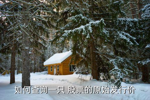如何查詢一只 股票的原始發(fā)行價(jià)