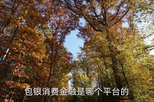 包銀消費(fèi)金融是哪個平臺的