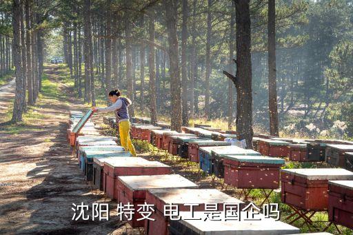 沈陽 特變 電工是國(guó)企嗎