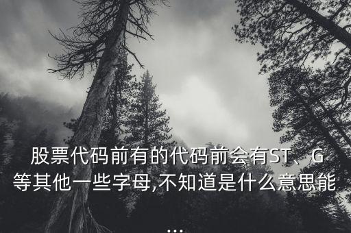  股票代碼前有的代碼前會有ST、G等其他一些字母,不知道是什么意思能...