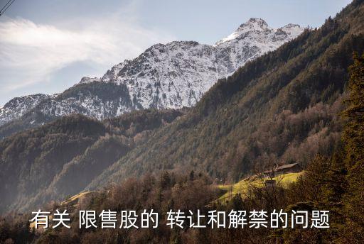 有關 限售股的 轉讓和解禁的問題