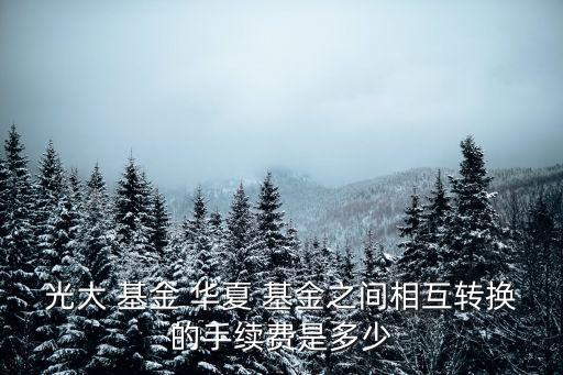 光大 基金 華夏 基金之間相互轉(zhuǎn)換的手續(xù)費是多少