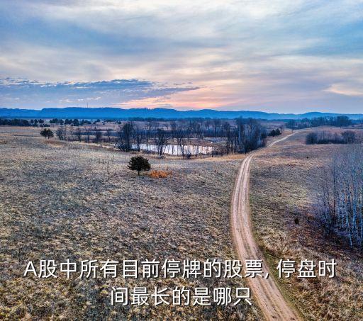 A股中所有目前停牌的股票, 停盤(pán)時(shí)間最長(zhǎng)的是哪只