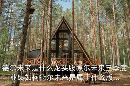 德爾未來是什么龍頭股德爾未來三季度業(yè)績(jī)?nèi)绾蔚聽栁磥硎菍儆谑裁窗?..
