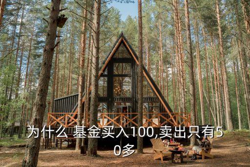 為什么 基金買(mǎi)入100,賣(mài)出只有50多