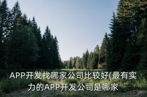 APP開發(fā)找哪家公司比較好(最有實力的APP開發(fā)公司是哪家