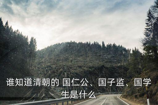 誰(shuí)知道清朝的 國(guó)仁公、國(guó)子監(jiān)、國(guó)學(xué)生是什么