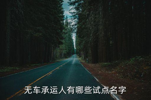 無(wú)車(chē)承運(yùn)人有哪些試點(diǎn)名字