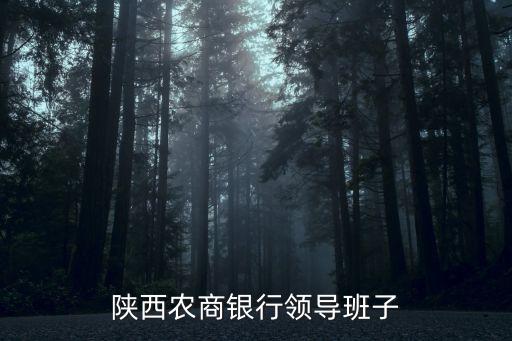 陜西農(nóng)商銀行領導班子