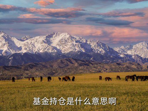  基金持倉(cāng)是什么意思啊