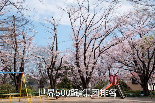 世界500強(qiáng) 集團(tuán)排名