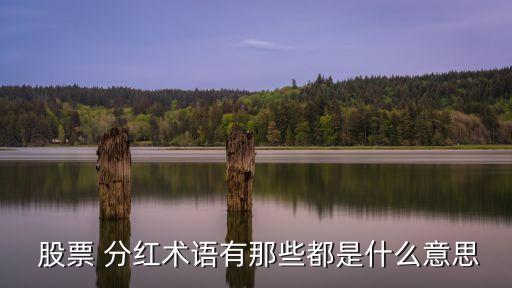  股票 分紅術(shù)語(yǔ)有那些都是什么意思