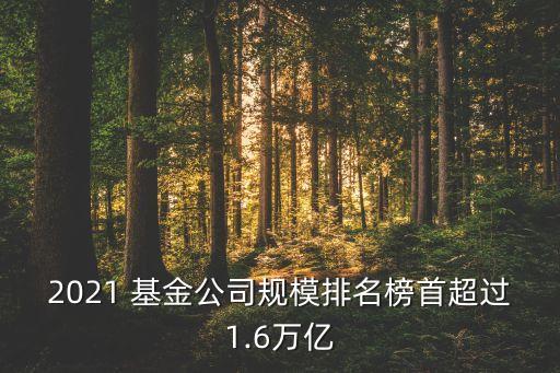 第八屆金?；鸺敖鹋；鸸精@獎名單