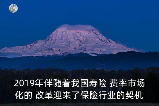 2019年伴隨著我國壽險 費(fèi)率市場化的 改革迎來了保險行業(yè)的契機(jī)