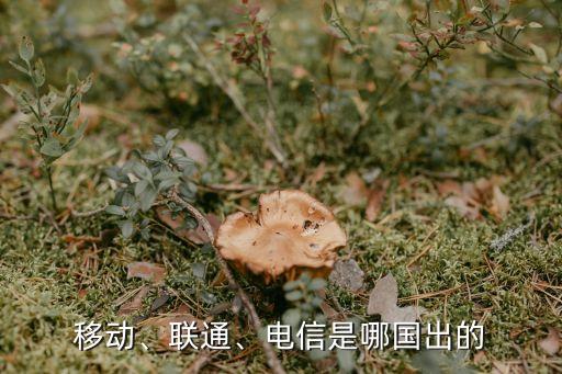 移動(dòng)、聯(lián)通、電信是哪國出的