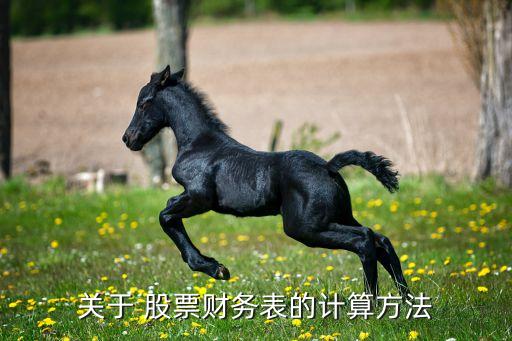 關(guān)于 股票財(cái)務(wù)表的計(jì)算方法