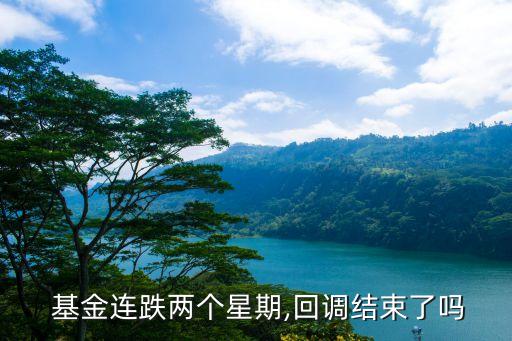 華富基金比大盤(pán)跌的更狠