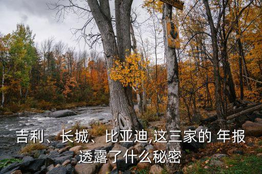 吉利、長城、比亞迪,這三家的 年報透露了什么秘密