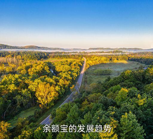  余額寶的發(fā)展趨勢