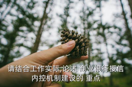 請結(jié)合工作實際,論述 商業(yè)銀行授信內(nèi)控機(jī)制建設(shè)的 重點