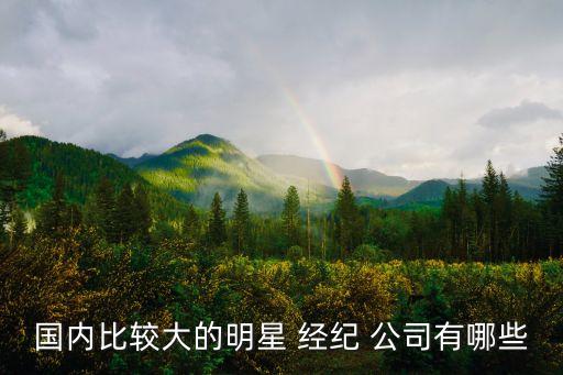 國內比較大的明星 經紀 公司有哪些