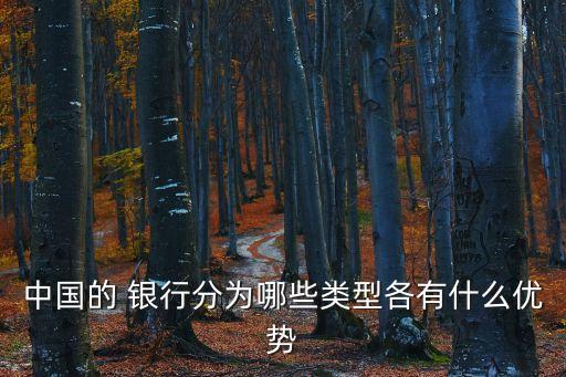 中國的 銀行分為哪些類型各有什么優(yōu)勢(shì)