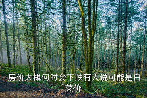  房價大概何時會下跌有人說可能是白菜價