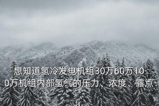想知道氫冷發(fā)電機(jī)組30萬(wàn)60萬(wàn)100萬(wàn)機(jī)組內(nèi)部氫氣的壓力、濃度、露點(diǎn)...