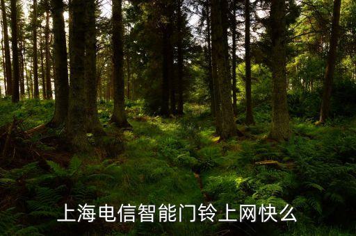 中國電信市場(chǎng)部經(jīng)理,盛英牛 中國電信市場(chǎng)部經(jīng)理