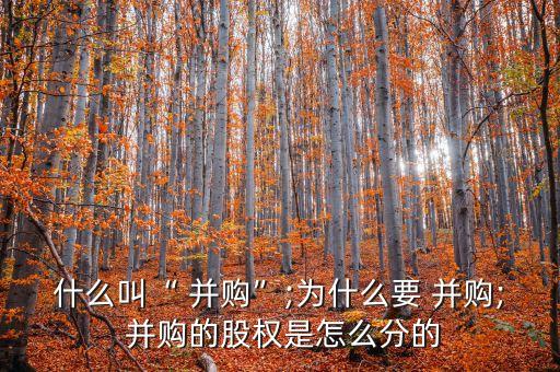中國企業(yè)并購歷程的劃分,企業(yè)并購按照實現方式劃分為