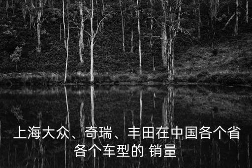  上海大眾、奇瑞、豐田在中國各個(gè)省各個(gè)車型的 銷量