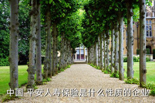 中國 平安人壽保險(xiǎn)是什么性質(zhì)的企業(yè)