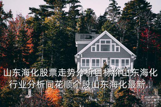 山東?；善弊邉莘治瞿繕藘r山東海化行業(yè)分析同花順個股山東?；钚?..