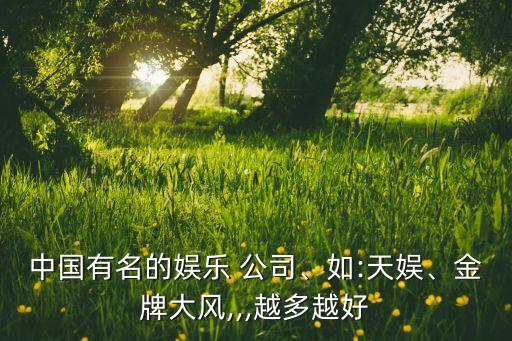 中國有名的娛樂 公司、如:天娛、金牌大風,,,越多越好