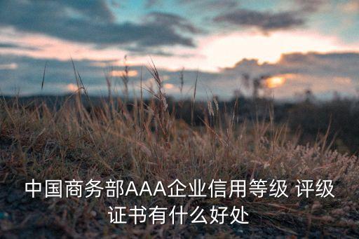 中國商務部AAA企業(yè)信用等級 評級證書有什么好處
