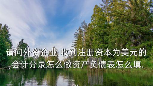 請問外資企業(yè) 收到注冊資本為美元的,會(huì)計(jì)分錄怎么做資產(chǎn)負(fù)債表怎么填...