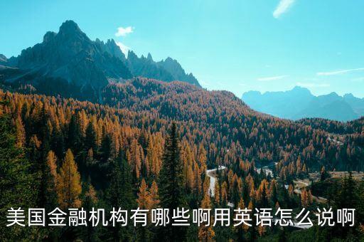 美國金融機構有哪些啊用英語怎么說啊