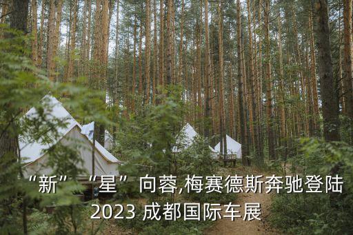 “新”“星”向蓉,梅賽德斯奔馳登陸2023 成都國(guó)際車展