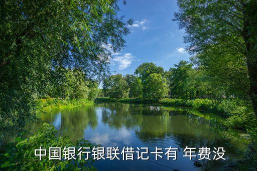  中國(guó)銀行銀聯(lián)借記卡有 年費(fèi)沒