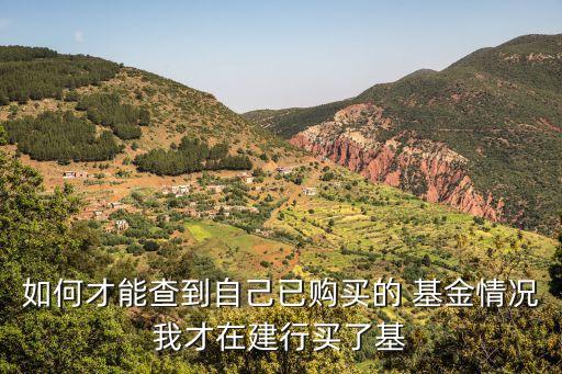 如何才能查到自己已購(gòu)買的 基金情況我才在建行買了基