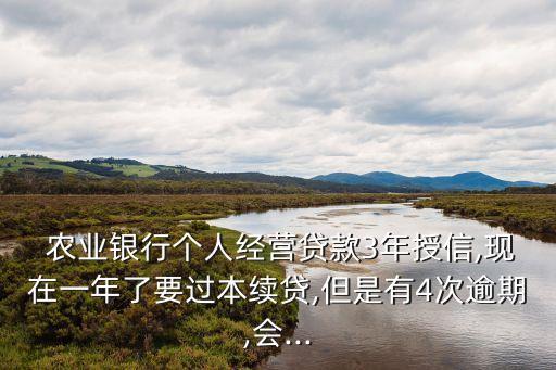  農業(yè)銀行個人經營貸款3年授信,現(xiàn)在一年了要過本續(xù)貸,但是有4次逾期,會...