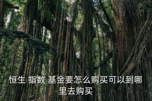 恒生 指數(shù) 基金要怎么購(gòu)買可以到哪里去購(gòu)買