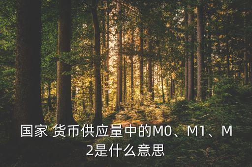 國家 貨幣供應(yīng)量中的M0、M1、M2是什么意思